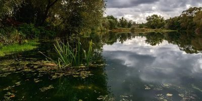 37% ПРОБ ВОДЫ ИЗ ВОДОЕМОВ РОСТОВСКОЙ ОБЛАСТИ НЕ ПРОШЛИ ПО НОРМАТИВАМ