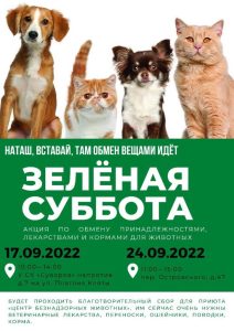 Благотворительный обмен товарами для животных «Зелёная суббота» пройдёт в Ростове-на-Дону 17 и 24 сентября