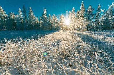 В РОСТОВСКОЙ ОБЛАСТИ В БЛИЖАЙШИЕ ДНИ РЕЗКО ПОХОЛОДАЕТ ДО –20 °С