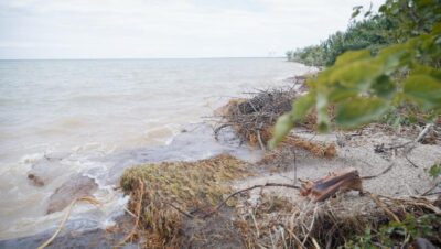 ЦИМЛЯНСКОЕ ВОДОХРАНИЛИЩЕ ПОДСТУПАЕТ ВПЛОТНУЮ К ДАЧНЫМ УЧАСТКАМ В ВОЛГОДОНСКЕ