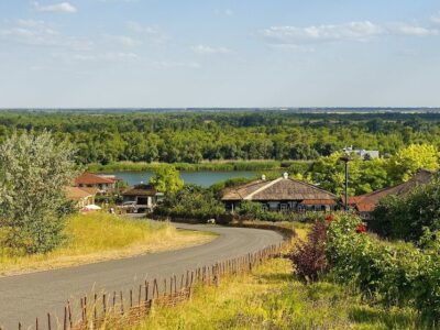 В ДВУХ МУНИЦИПАЛИТЕТАХ РОСТОВСКОЙ ОБЛАСТИ ВВЕЛИ РЕЖИМ ЧС ИЗ-ЗА ЗАСУХИ