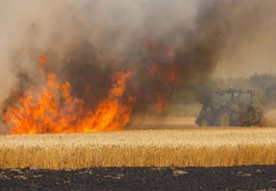 НА ДОНУ ПОЖАРЫ НА ПОЛЯХ УНИЧТОЖИЛИ 100 ГА ПШЕНИЦЫ