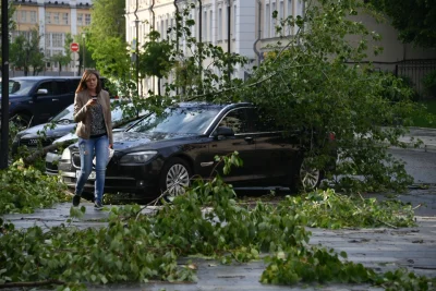 В РОСТОВЕ-НА-ДОНУ МАССОВО ПОПАДАЛИ ДЕРЕВЬЯ ИЗ-ЗА ШКВАЛИСТОГО ВЕТРА