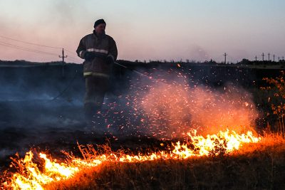 В ДВУХ РАЙОНАХ РОСТОВСКОЙ ОБЛАСТИ ВВЕЛИ РЕЖИМ ЧС ИЗ-ЗА КРУПНЫХ ПОЖАРОВ