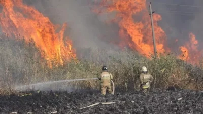 ЗА ПРОШЕДШИЕ СУТКИ ЗАРЕГИСТРИРОВАНО 49 ПРИРОДНЫХ ПОЖАРОВ В РОСТОВСКОЙ ОБЛАСТИ