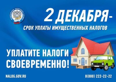 УПЛАТИТЕ НАЛОГИ НЕ ПОЗДНЕЕ 2 ДЕКАБРЯ 2024 ГОДА