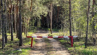 НА ДОНУ РЕЖИМ ОГРАНИЧЕНИЯ ПРЕБЫВАНИЯ В ЛЕСАХ ПРОДЛИЛИ ДО 2 ИЮЛЯ