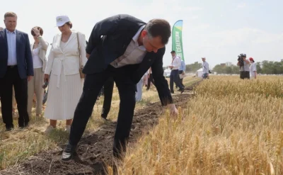 РЕЖИМ ЧС ПО ЗАСУХЕ ВВЕДУТ В ДЕСЯТИ РАЙОНАХ РОСТОВСКОЙ ОБЛАСТИ
