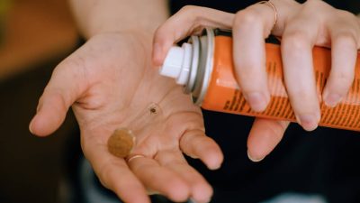 В РОСТОВСКОЙ ОБЛАСТИ ЗАФИКСИРОВАЛИ ТРИ ВИДА ОПАСНЫХ КЛЕЩЕВЫХ ИНФЕКЦИЙ