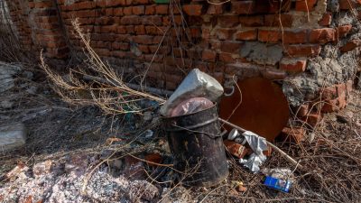 В МАРТЫНОВСКОМ РАЙОНЕ НАШЛИ СВАЛКУ НА МЕСТЕ СЕЛЬХОЗУГОДИЙ