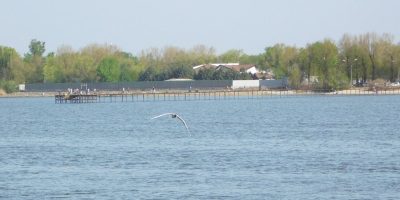 КАЧЕСТВО ВОДЫ ПРОВЕРИЛИ В ВОДОЕМАХ РОСТОВСКОЙ ОБЛАСТИ