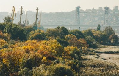 ГРАДСОВЕТ ЗАПРЕТИЛ ЗАСТРОЙКУ ЛЕВОБЕРЕЖНОЙ РОЩИ В РОСТОВЕ-НА-ДОНУ