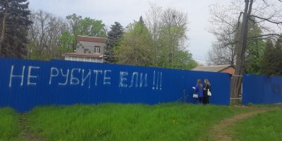 ВЛАСТИ РОСТОВА НЕ СОГЛАСИЛИСЬ С СУДЕБНЫМ РЕШЕНИЕМ О ВОССТАНОВЛЕНИИ РОЩИ