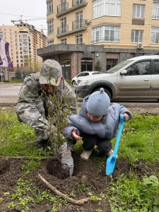 В Ростове чиновники сначала помогли озеленить участок на Измаильском, а затем его уничтожили