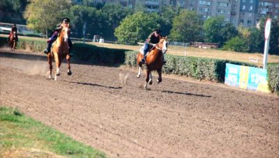 ЮРИЙ СЛЮСАРЬ: ВОПРОС О СУДЬБЕ ТЕРРИТОРИИ РОСТОВСКОГО ИППОДРОМА РЕШЕН
