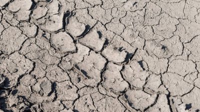 РЕЖИМ ЧС ПО ЗАСУХЕ ВВЕЛИ В ЕЩЕ В ОДНОМ РАЙОНЕ РОСТОВСКОЙ ОБЛАСТИ