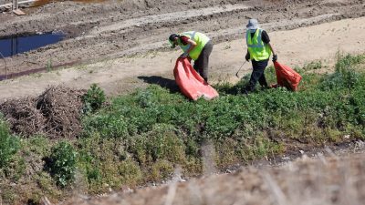 В БАГАЕВСКОМ РАЙОНЕ ОБНАРУЖИЛИ НЕЗАКОННУЮ СВАЛКУ ОТХОДОВ ПТИЦЕФАБРИКИ