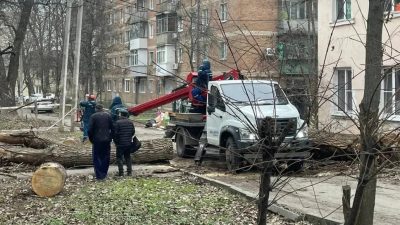 В РОСТОВЕ-НА-ДОНУ УПАВШЕЕ ДЕРЕВО ПОВРЕДИЛО БАЛКОН ЖИЛОГО ДОМА