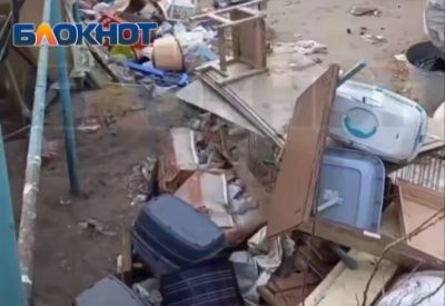 В ПРИЮТЕ АКСАЙСКОГО РАЙОНА ОБНАРУЖЕНЫ ТРУПЫ ЖИВОТНЫХ