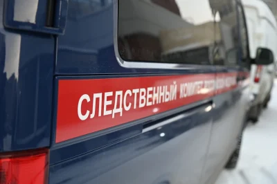 СЛЕДКОМ РАССЛЕДУЕТ СМЕРТЬ МЛАДЕНЦА В БОЛЬНИЦЕ РОСТОВА-НА-ДОНУ