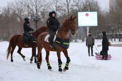 КОННЫЕ ПАТРУЛИ ЗАДЕЙСТВОВАЛИ НА ЗАСНЕЖЕННЫХ УЛИЦАХ РОСТОВА