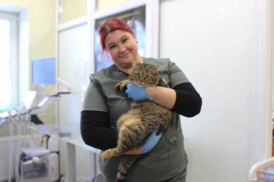 В РОСТОВЕ-НА-ДОНУ ВЕТВРАЧИ ПРОВЕДУТ МЕСЯЦ ЛЬГОТНОЙ СТЕРИЛИЗАЦИИ КОТОВ И КОШЕК