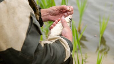 С 1 МАРТА В РОСТОВСКОЙ ОБЛАСТИ ВВОДИТСЯ НЕРЕСТОВЫЙ ЗАПРЕТ НА РЫБАЛКУ