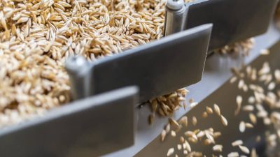 РОСТОВСКИЙ ЗЕРНОТРЕЙДЕР «РОДНЫЕ ПОЛЯ» ПРИВАТИЗИРУЮТ ЗА 11,7 МЛРД РУБЛЕЙ