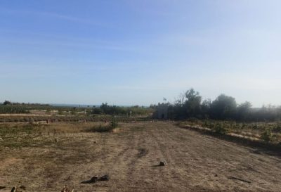 НА ДОНУ МАТЕРИ-ГЕРОИНИ ПОЛУЧАТ ПРАВО НА БЕСПЛАТНЫЕ ЗЕМЕЛЬНЫЕ УЧАСТКИ