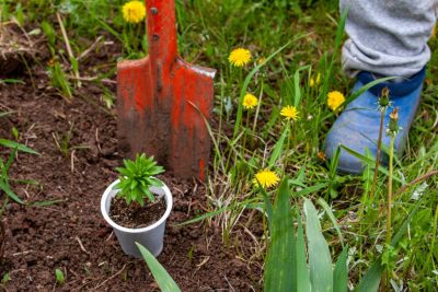 В СНТ «ЭНЕРГЕТИК» ПОД АКСАЕМ ДО КОНЦА ИЮНЯ РЕШАТ ПРОБЛЕМЫ С ЭЛЕКТРОНАПРЯЖЕНИЕМ