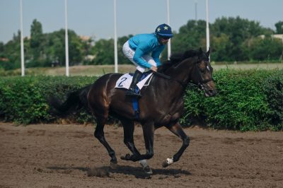 РОСТОВСКИЙ ИППОДРОМ ЗАЯВИЛ ОБ ОТКРЫТИИ СКАКОВОГО СЕЗОНА