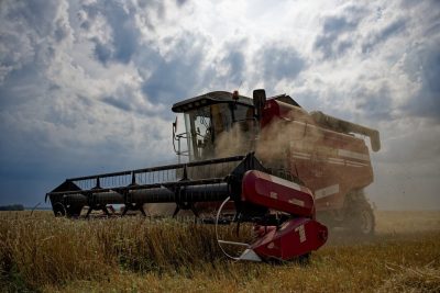 ПРИБЫЛЬ ДОНСКИХ ПРЕДПРИЯТИЙ В 2025 ГОДУ УПАЛА НА 35,5%