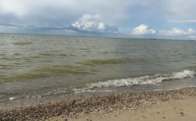 УЧЕНЫЕ СООБЩИЛИ О ЗАГРЯЗНЕНИИ АЗОВСКОГО МОРЯ МУСОРОМ И ОБЛОМКАМИ БПЛА